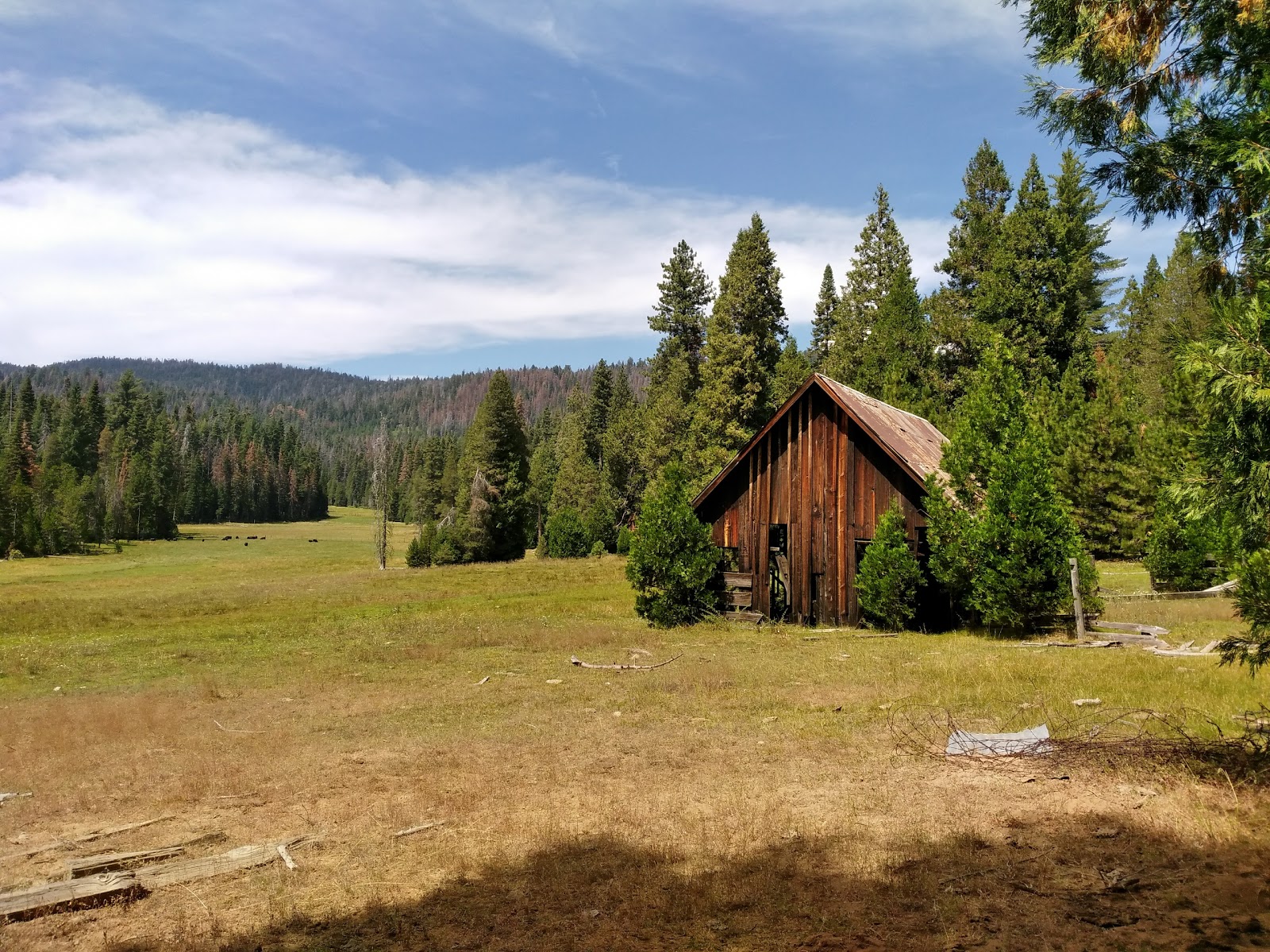 Kelty Meadow Campground