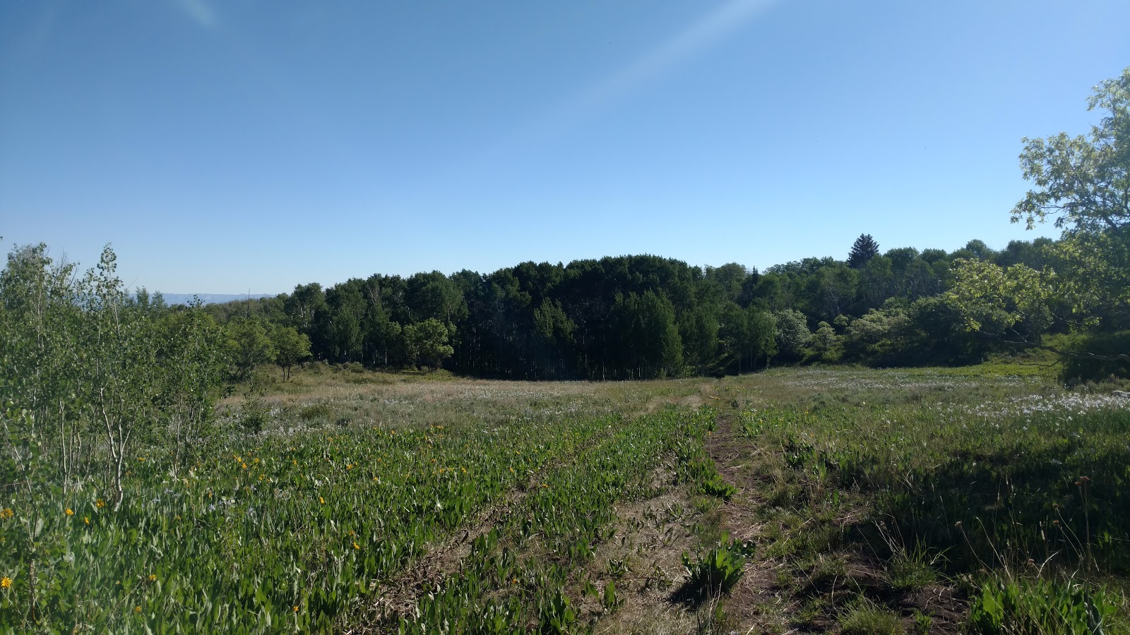 Hay Press Campground