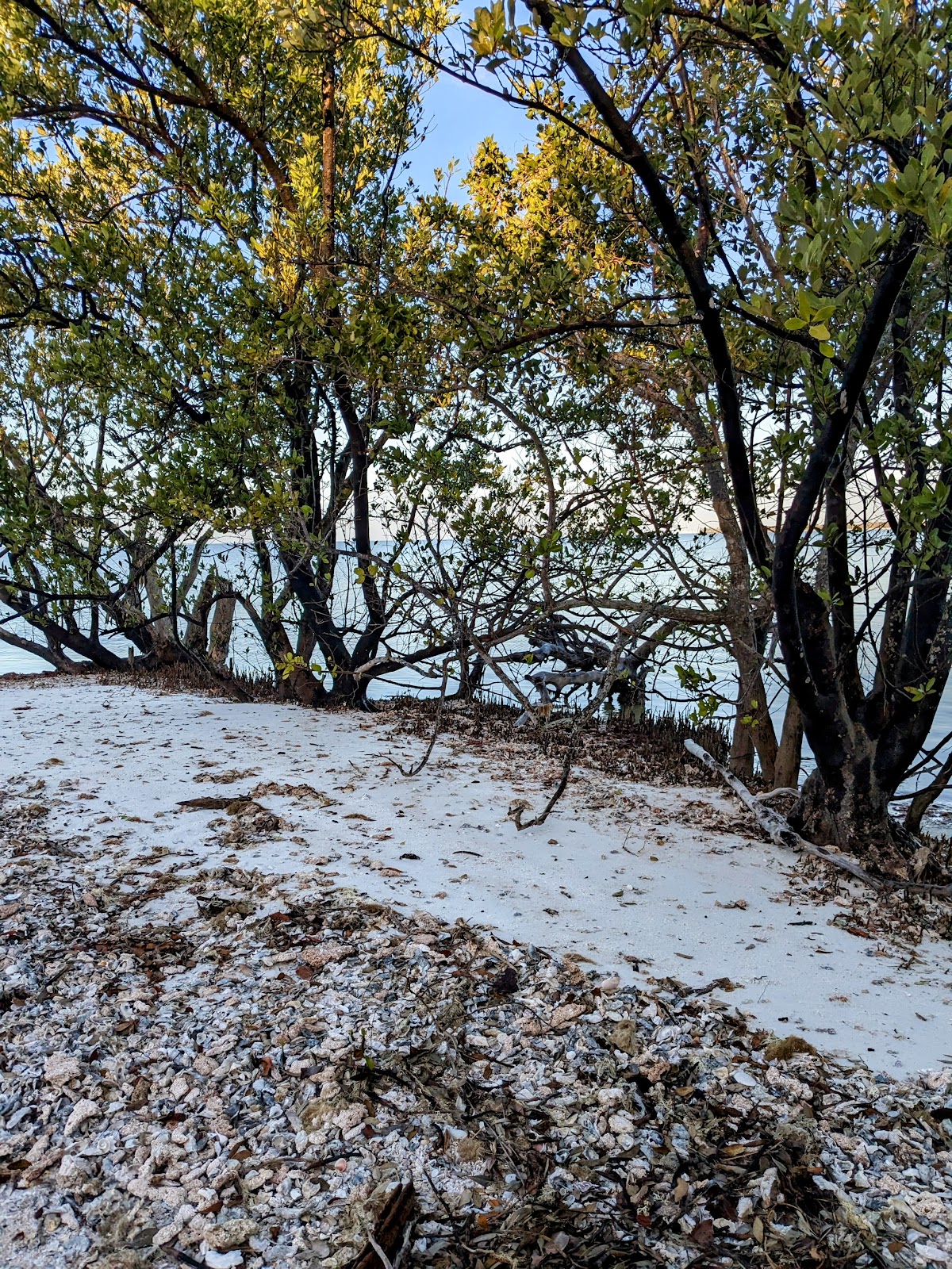 Backcountry Tiger Key - Everglades National Park