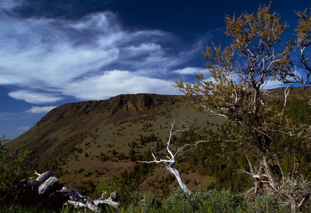Wildhorse Campground