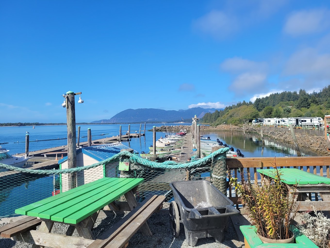 Kelly's Brighton Marina