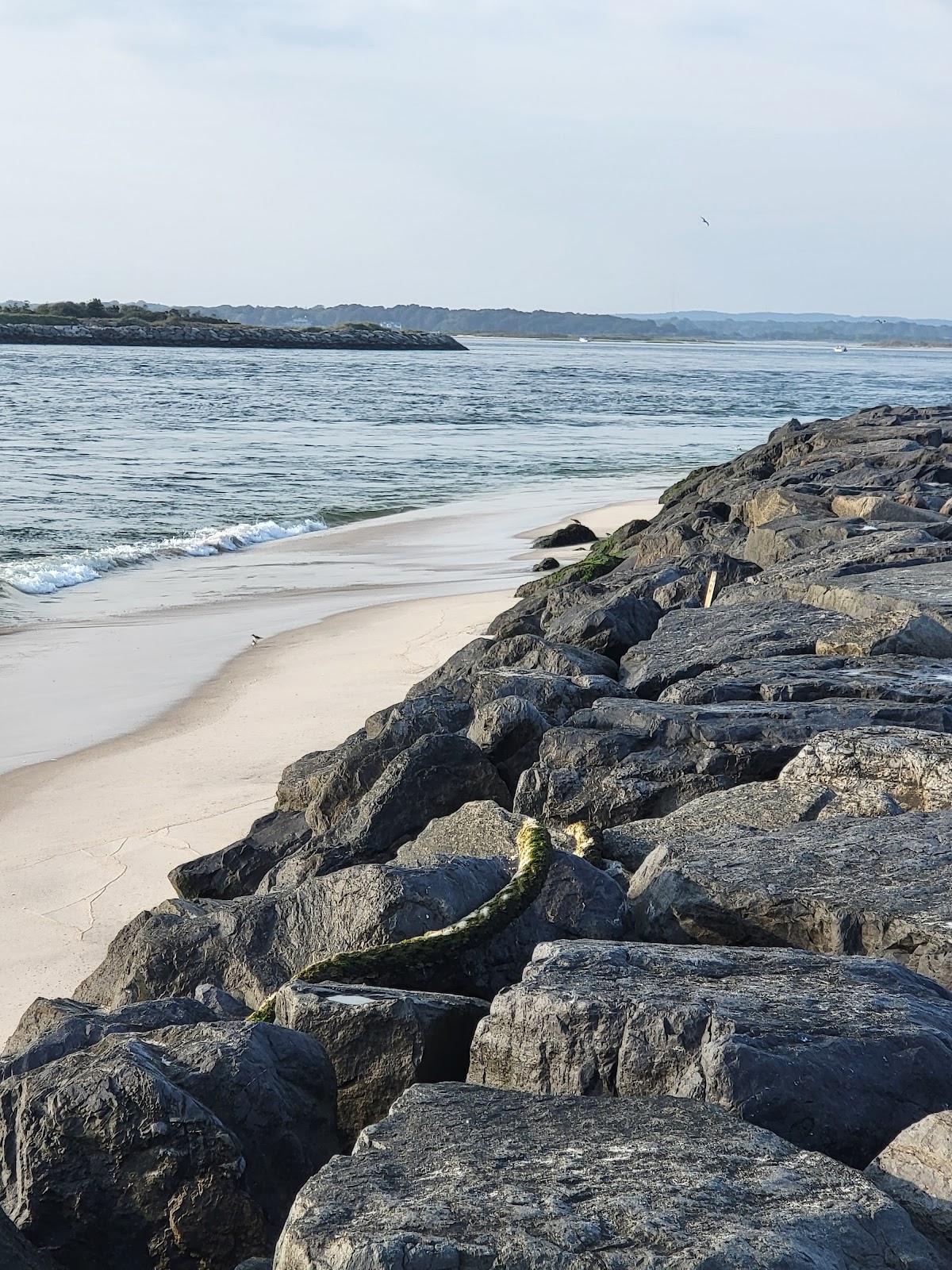 Cupsogue Beach County Park