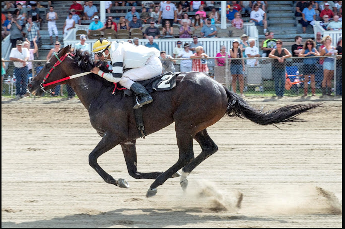 Van Wert County Fairgrounds