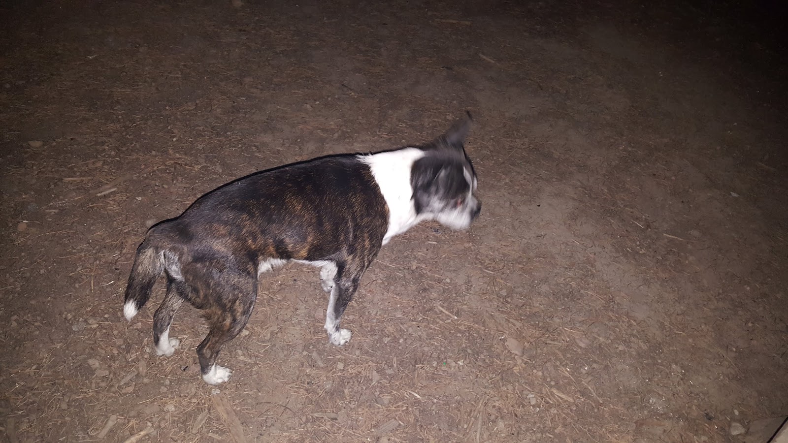 Father and Sons Campground