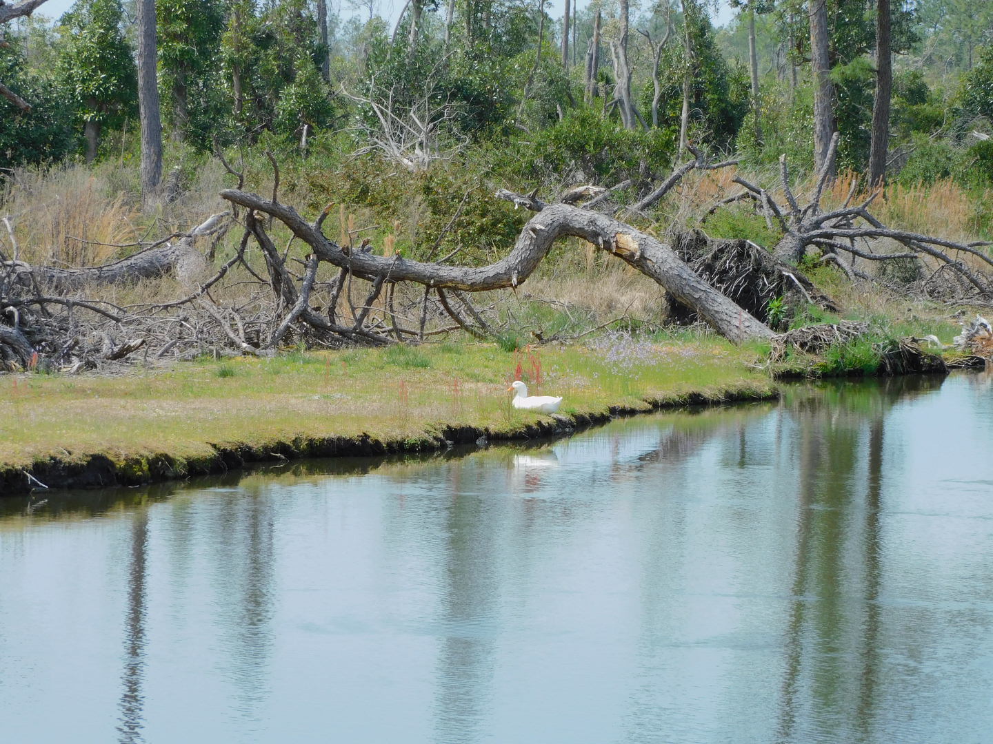 Augie's World RV Park & Campground