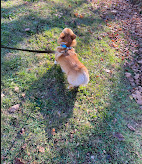 Totoket Valley RV Park