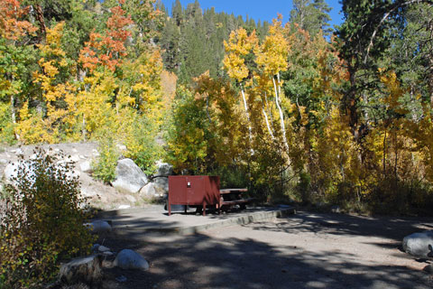 Pine Grove Campground