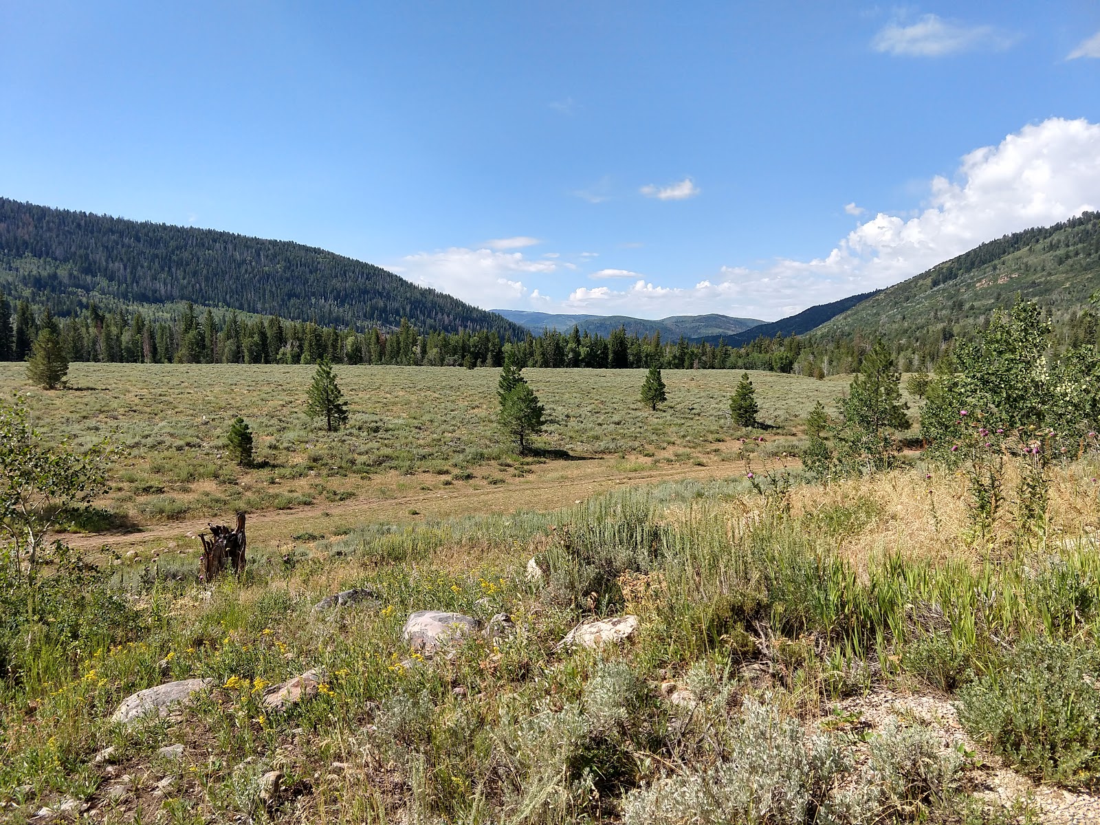 Pine Valley Group Site