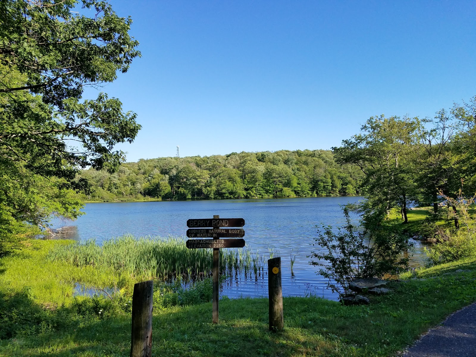 Berry Pond - Pittsfield State Forest