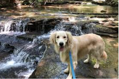 Fall Creek Falls State Park