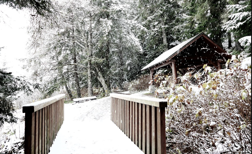 Auke Village NF Campground