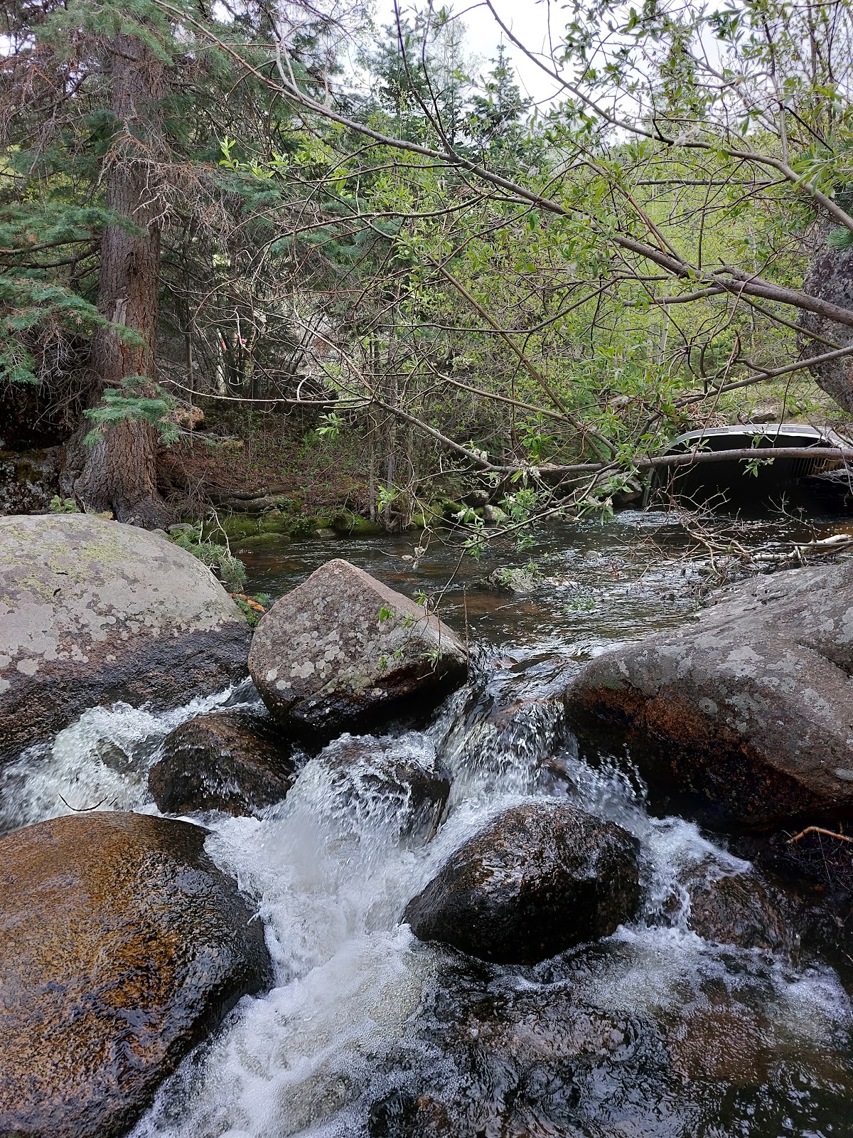 St Charles Campground