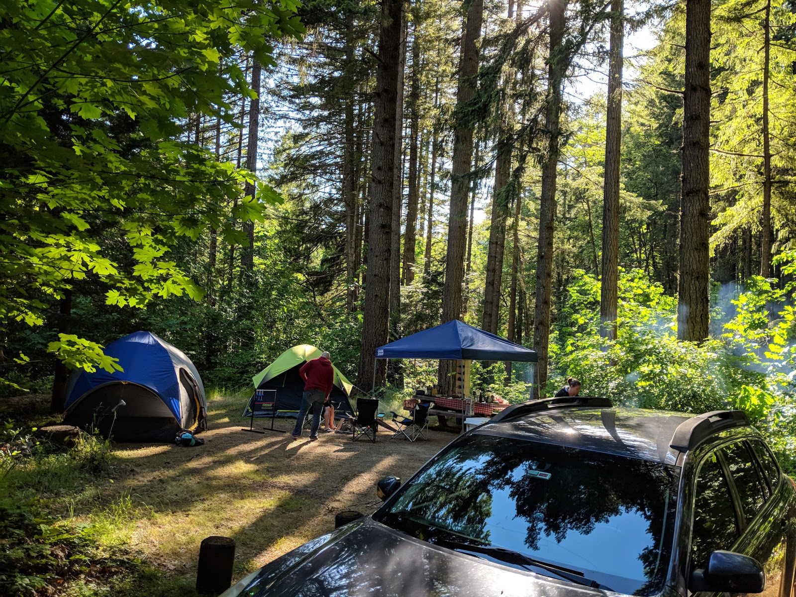 Bogus Creek Campground