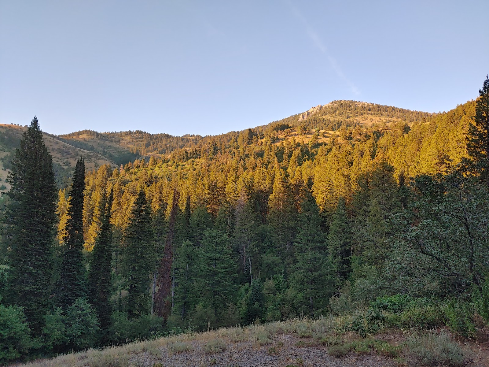 Birch Creek Campground