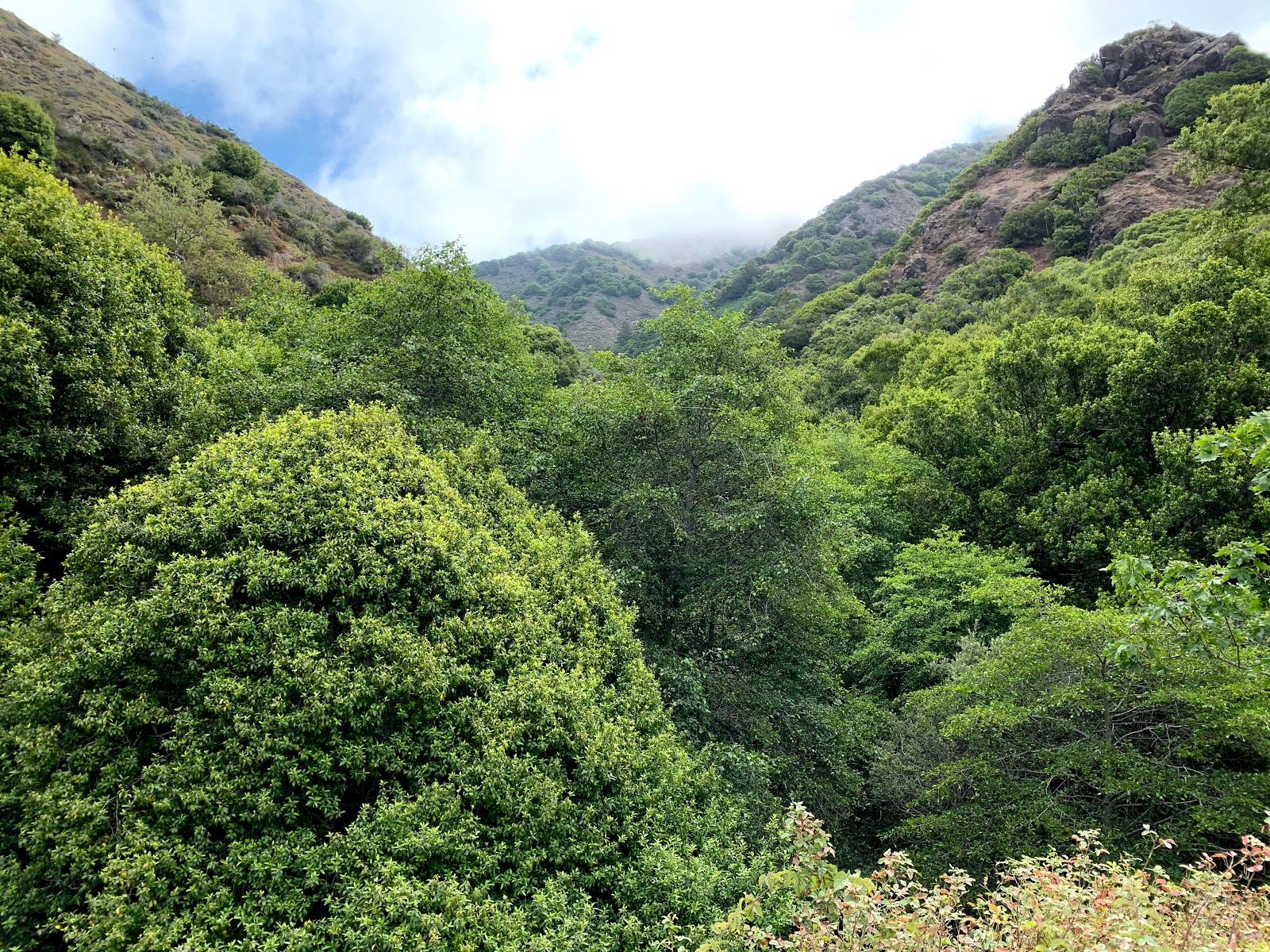 Salmon Creek Trailhead
