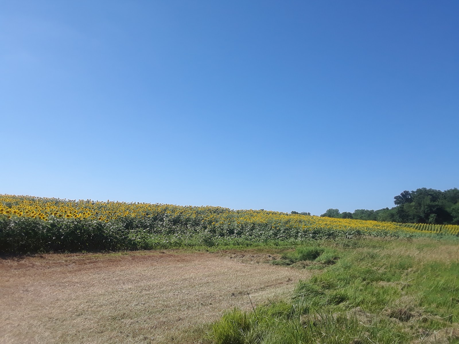 Jim Edgar Panther Creek State Fish and Wildlife Area