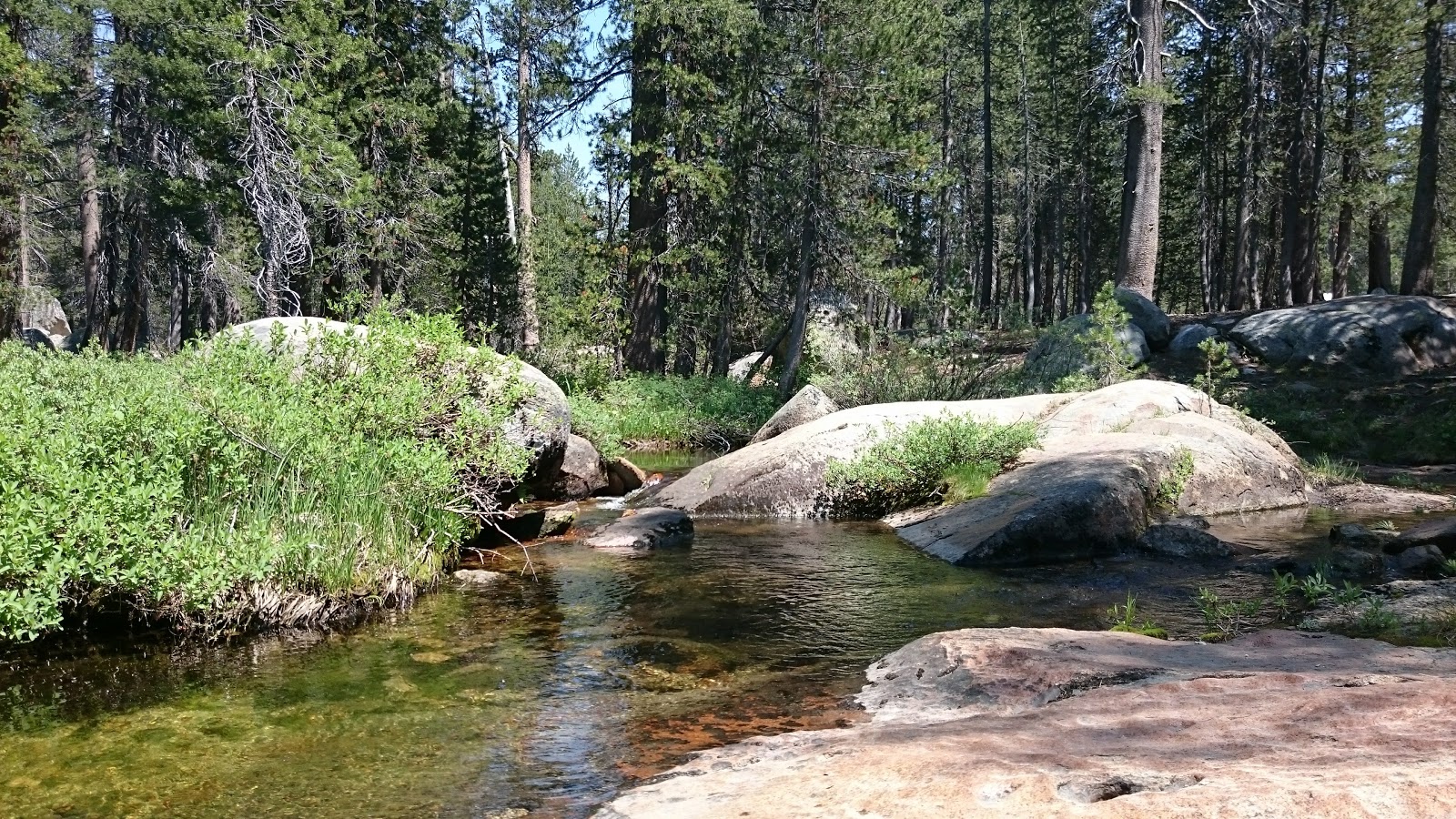White Wolf Campground