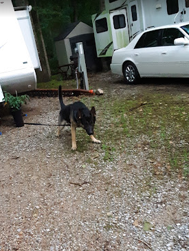 Monte Ne at Beaver Lake Camp Resort