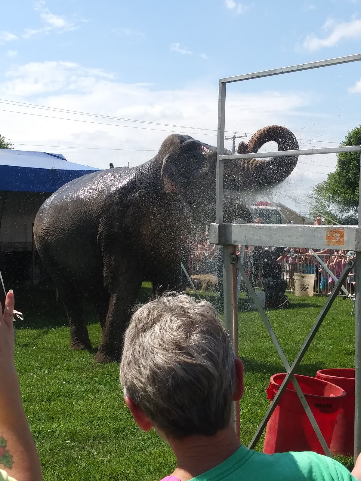 Bourbon County Fairgrounds