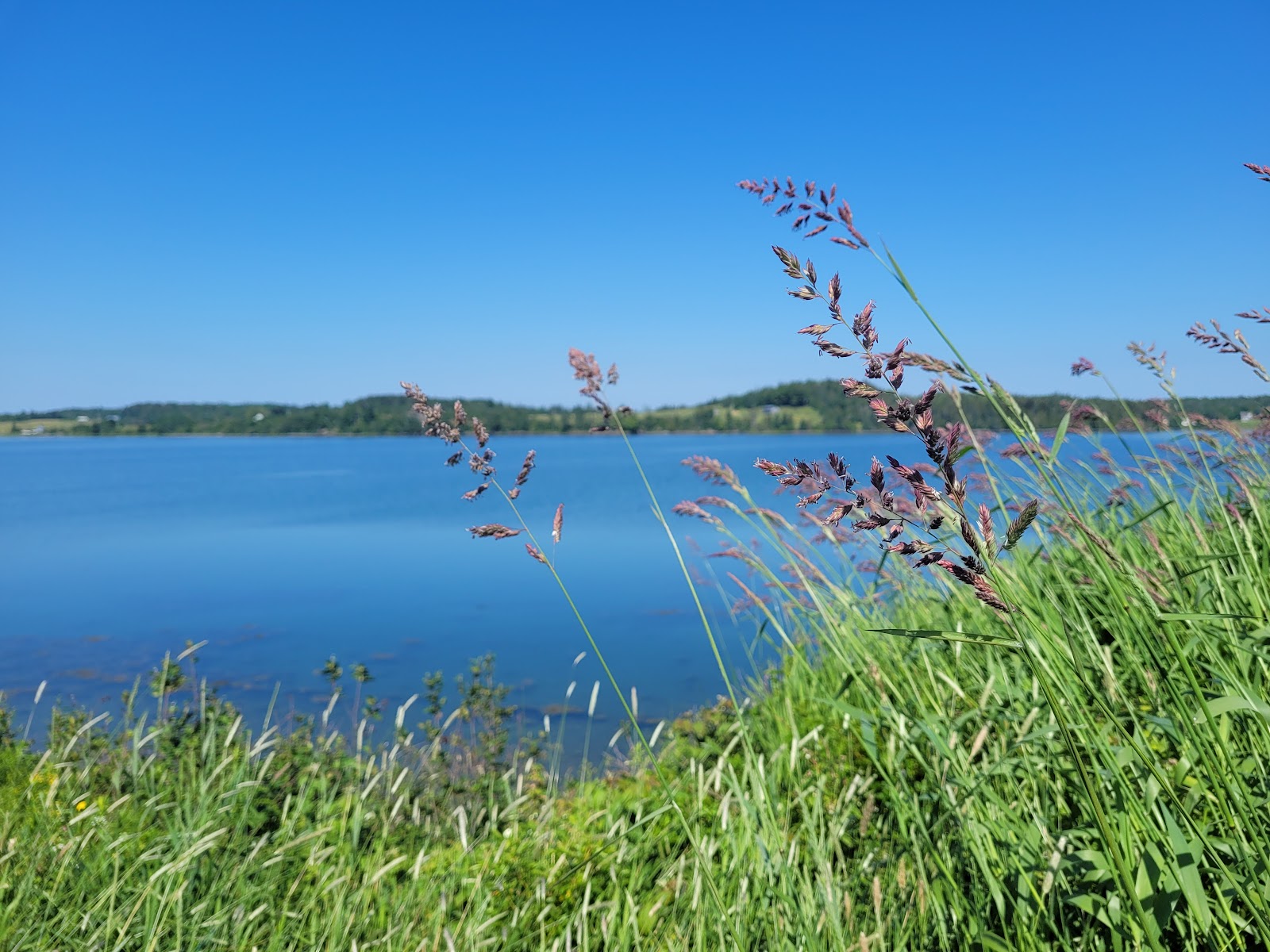 Sunset Point RV Park