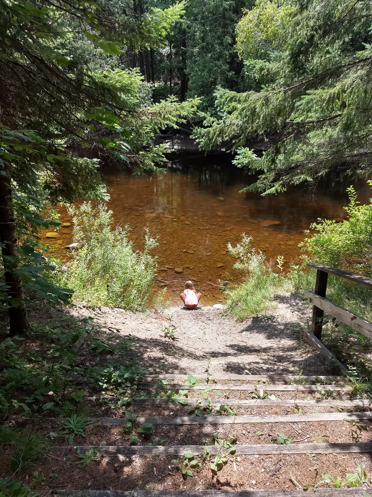 Cedar River North Equestrian SF Campground