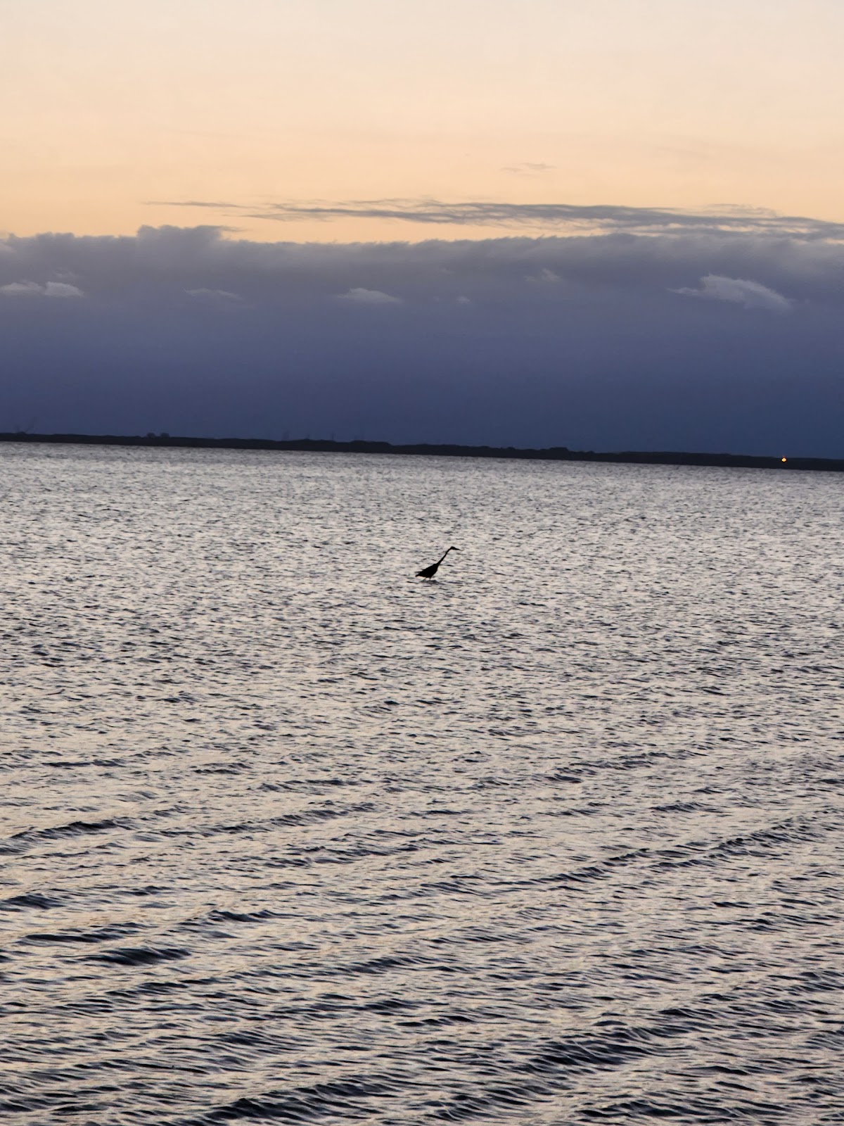 Kars Park - NASA Exchange