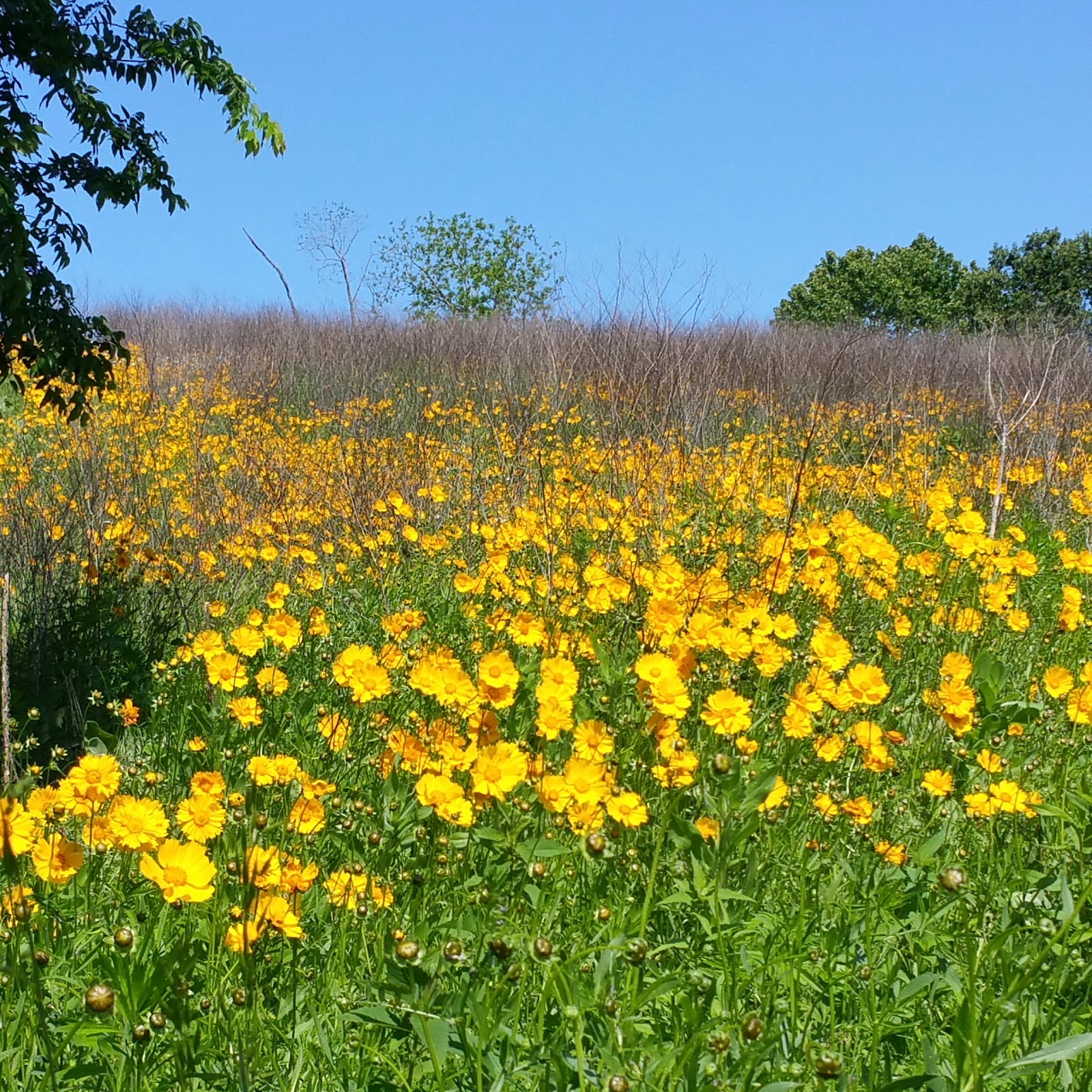Fred Berry Conservation Education Center on Crooked Creek