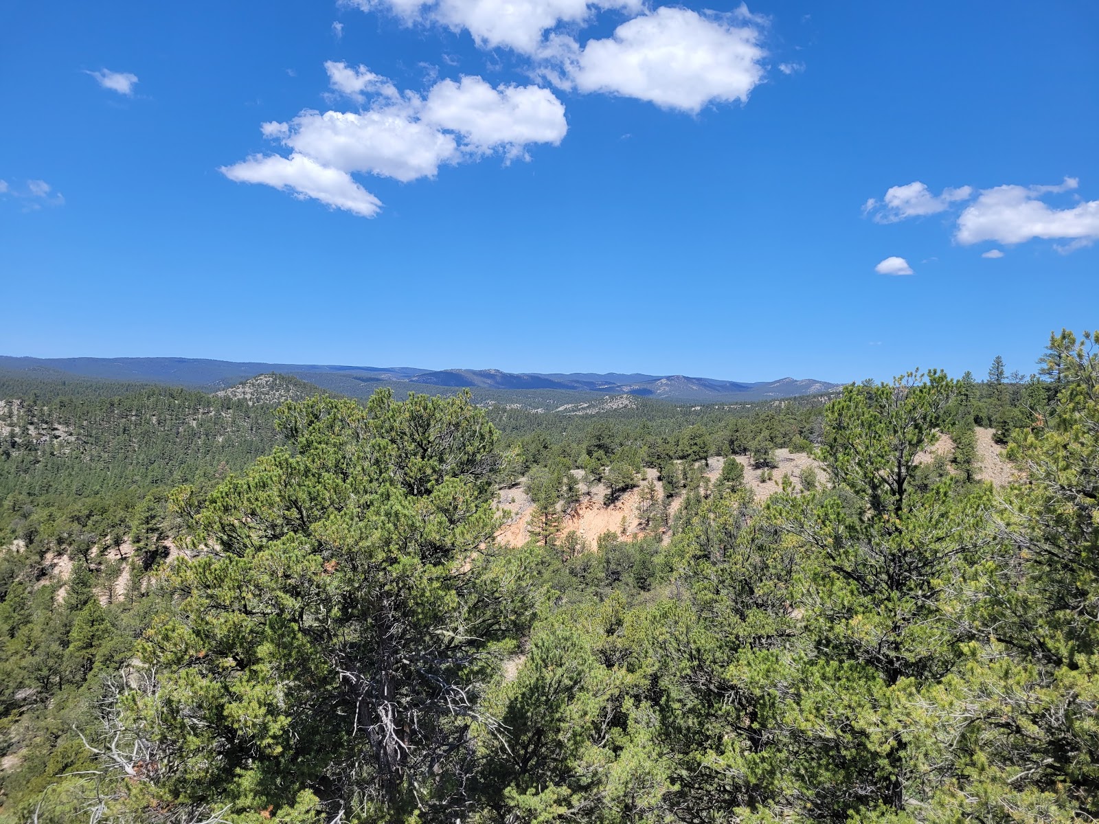 Cruces Basin Campground