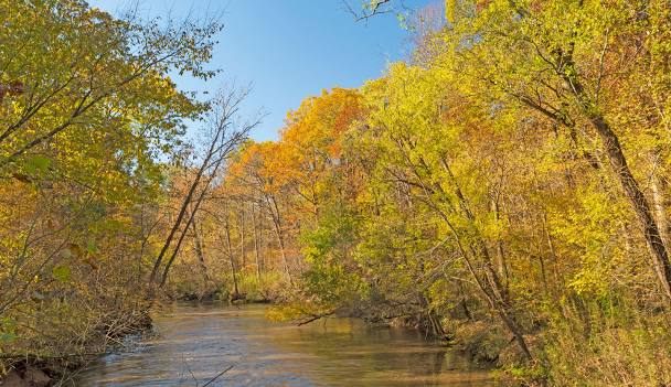 Cache River National Wildlife Refuge