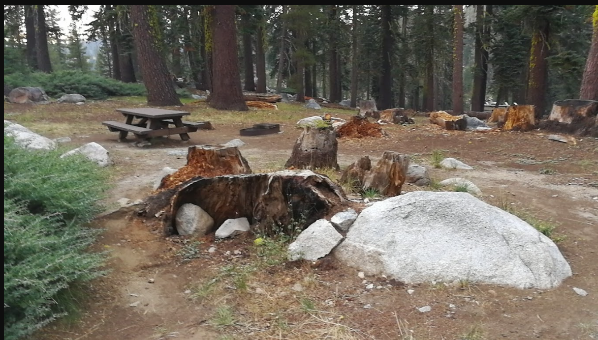 Silvertip Campground