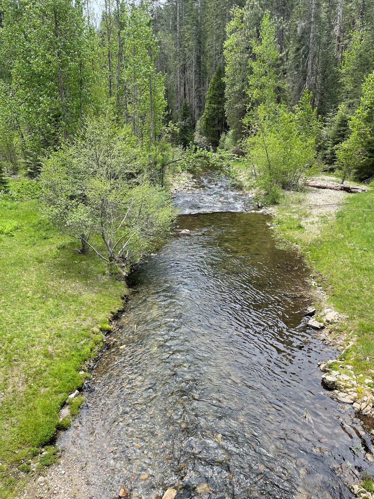Greys Mountain Campground