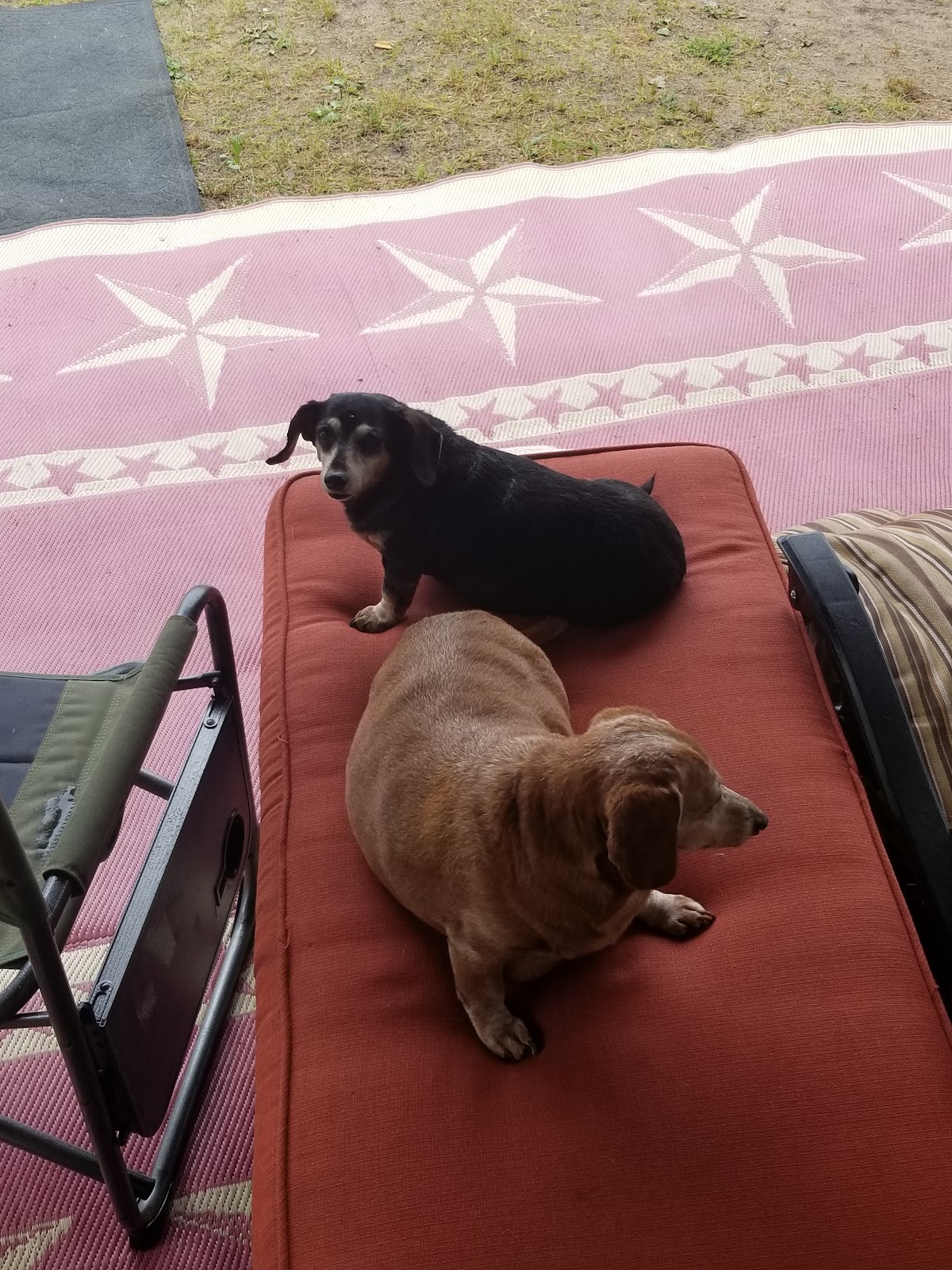 West Arbutus County Park Campground