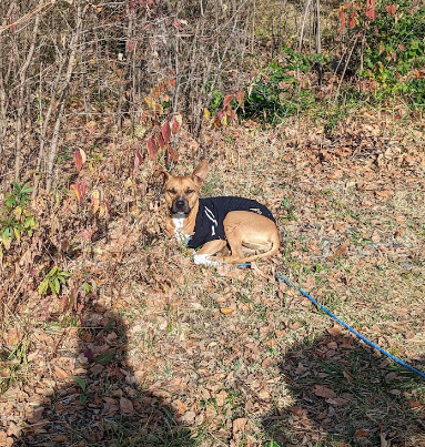 Basecamp Flint Hills