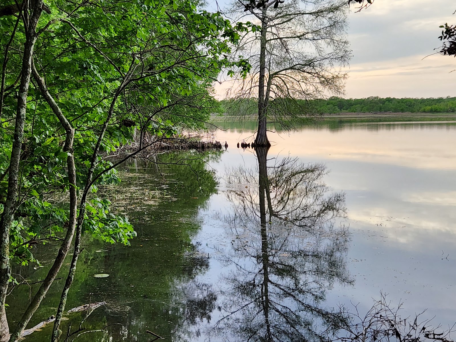 Martin Dies, Jr. State Park