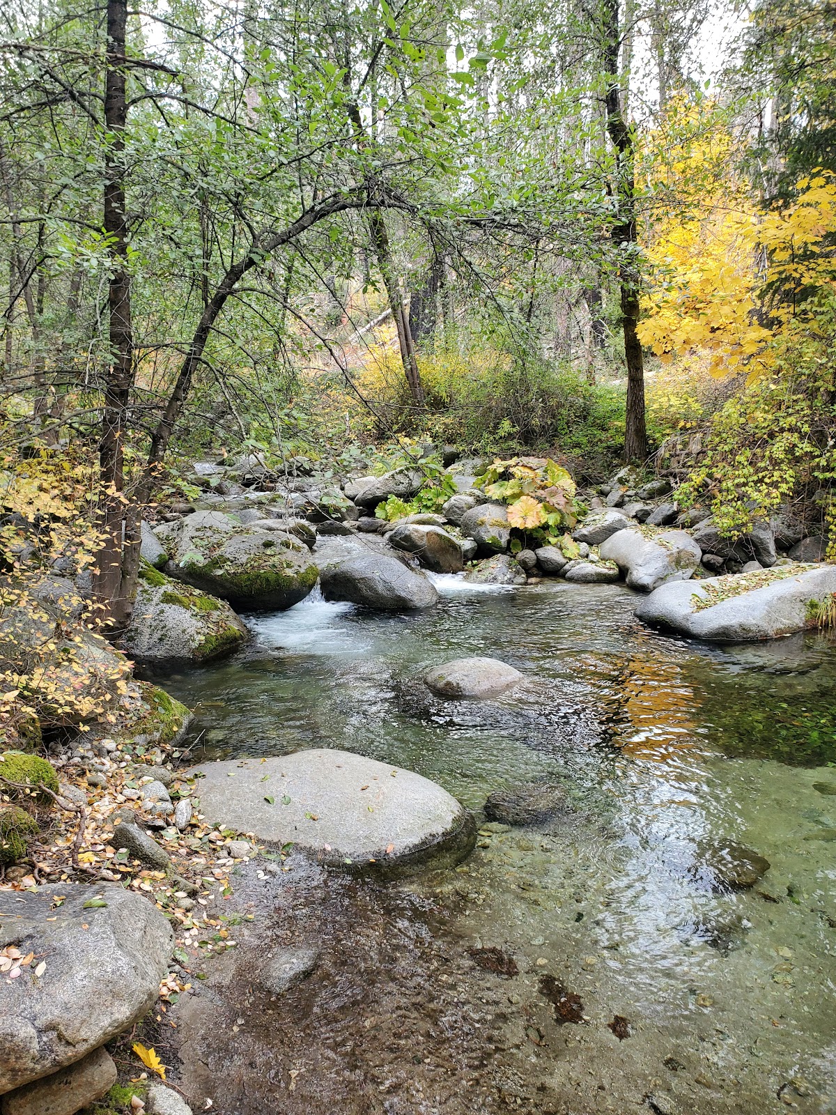 Sheep Camp Primitive Campground