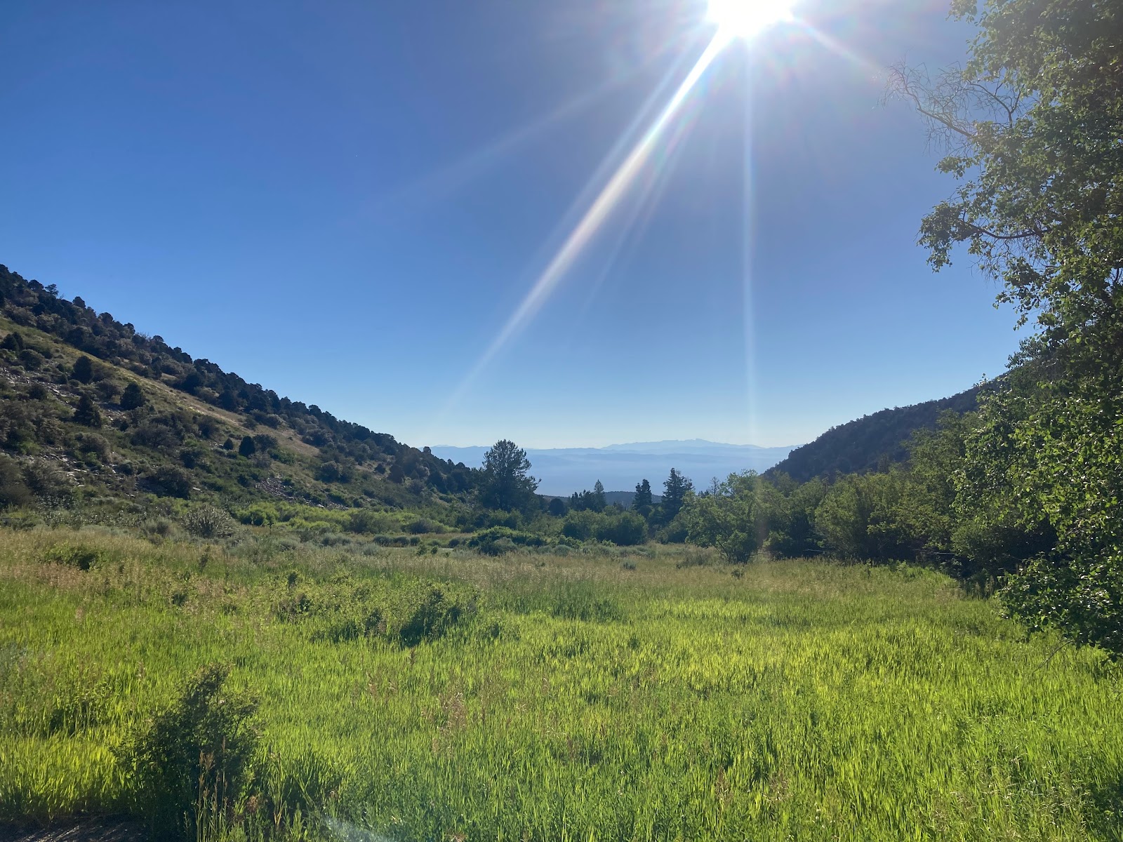 Upper Lehman Creek Campground