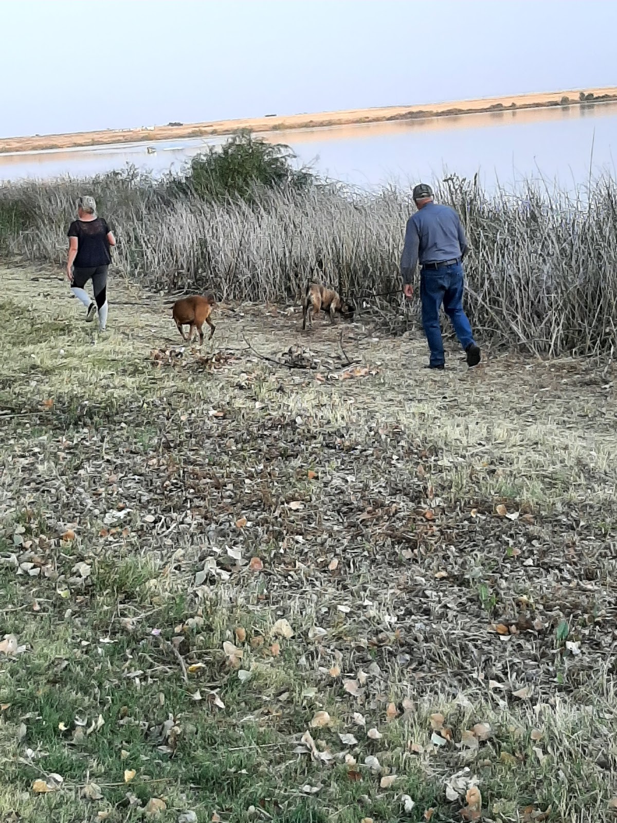 Four Seasons Campground and Resort