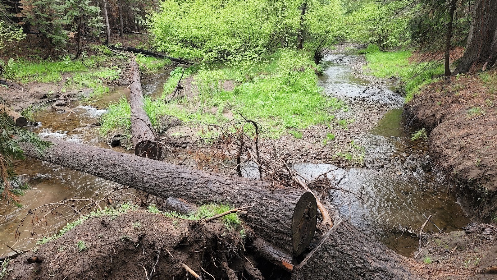 Trout Creek Campground