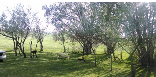 Twin Pines RV Camp & Mini Mart