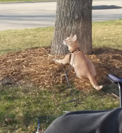 Dakotah Meadows RV Park