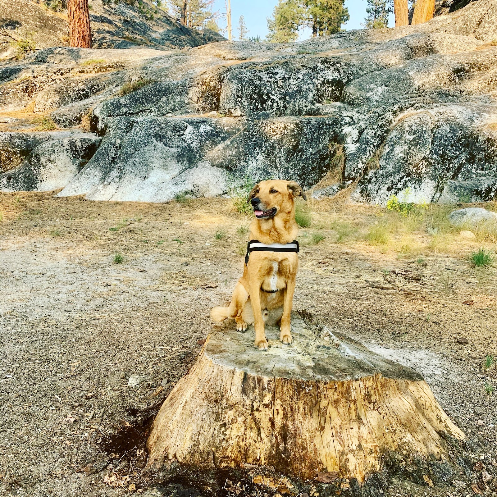 Eureka Valley Campground