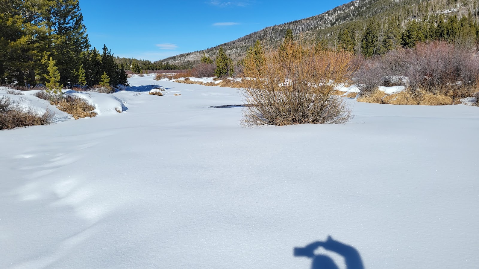 Christmas Meadows Campground