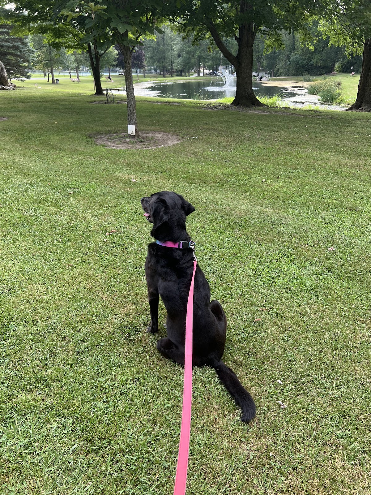 Leisurewood Recreational Community