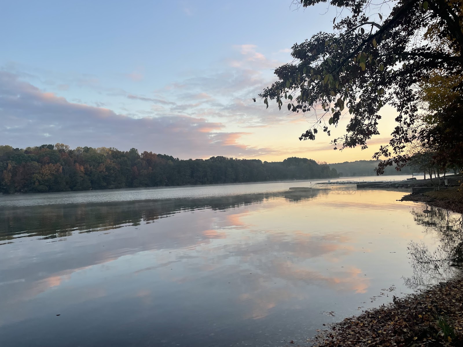 Lotterdale Cove Campground