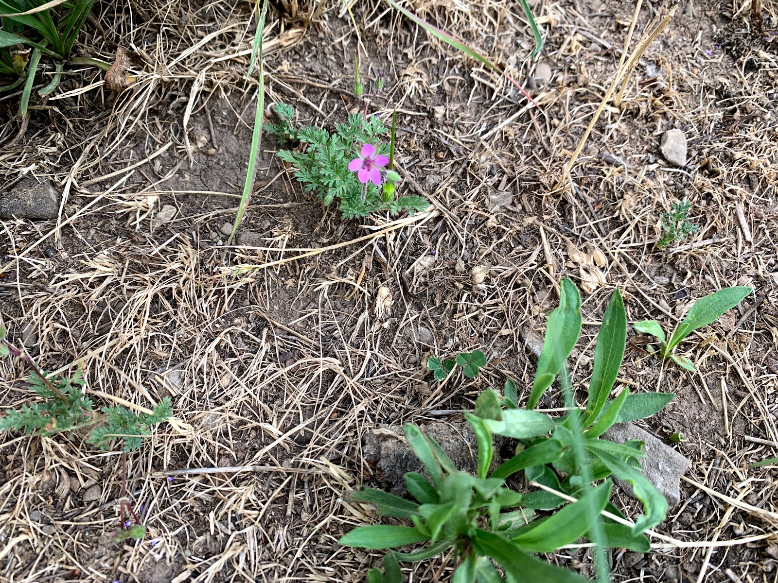 Friendship Campground