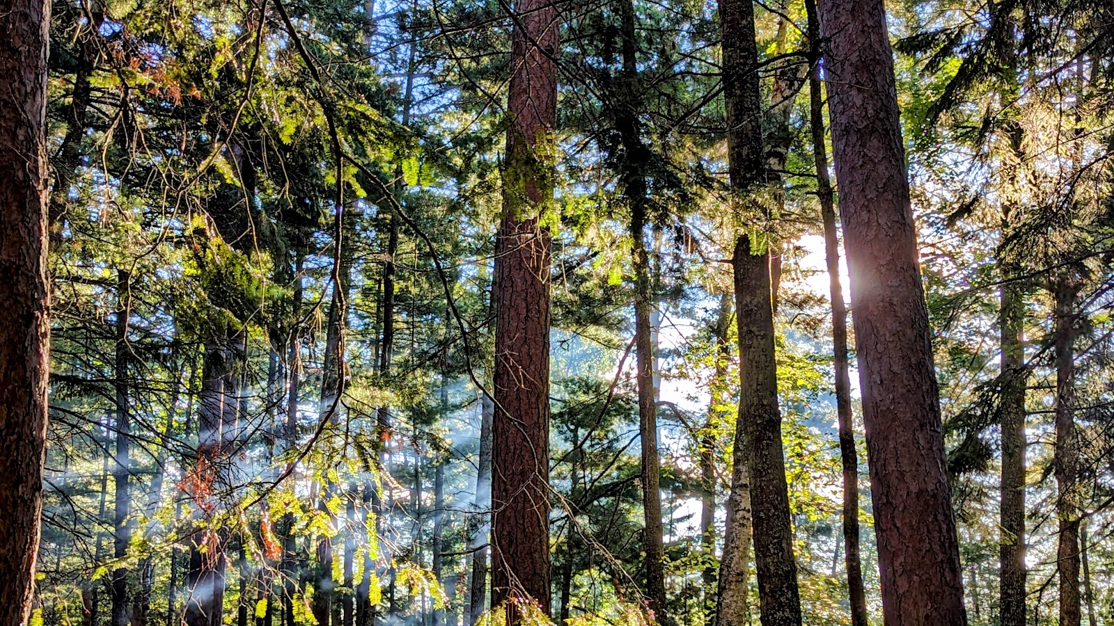 Clubhouse Campground