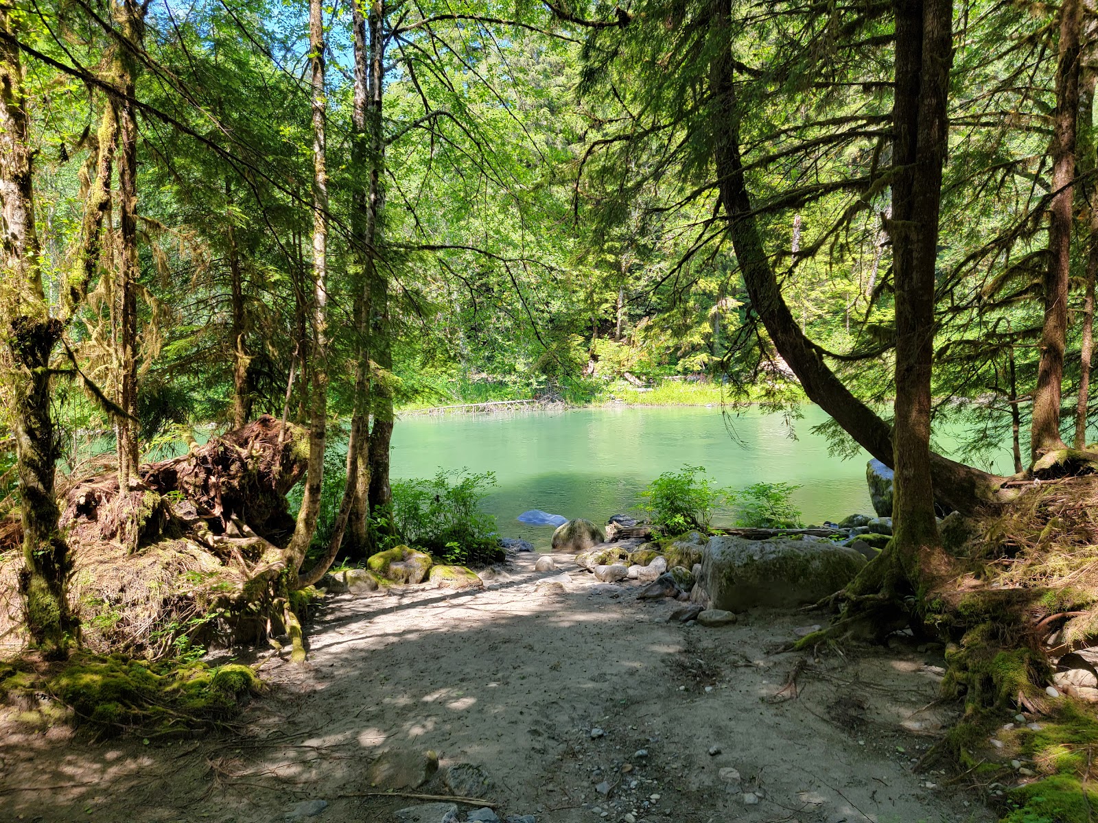 Wiley Creek Group Campground