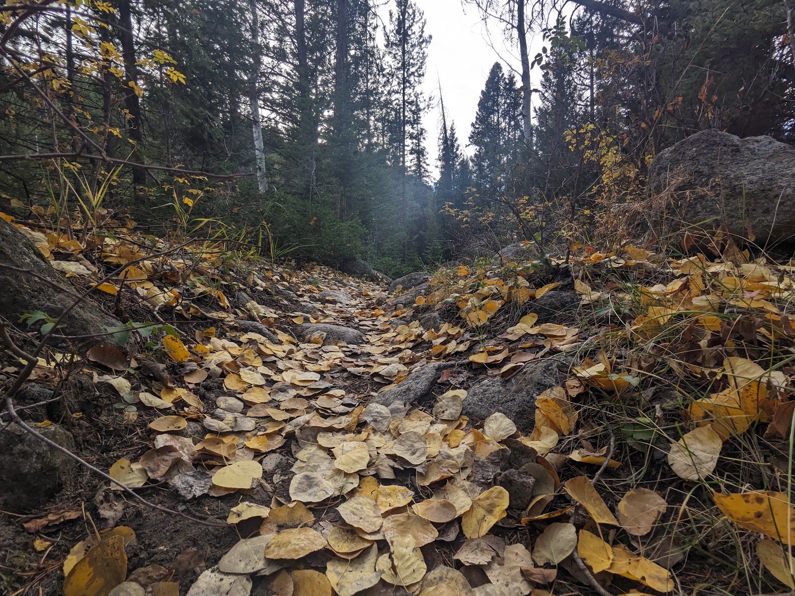 Boulder Lake Campground