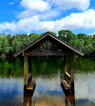 Bogue Chitto State Park