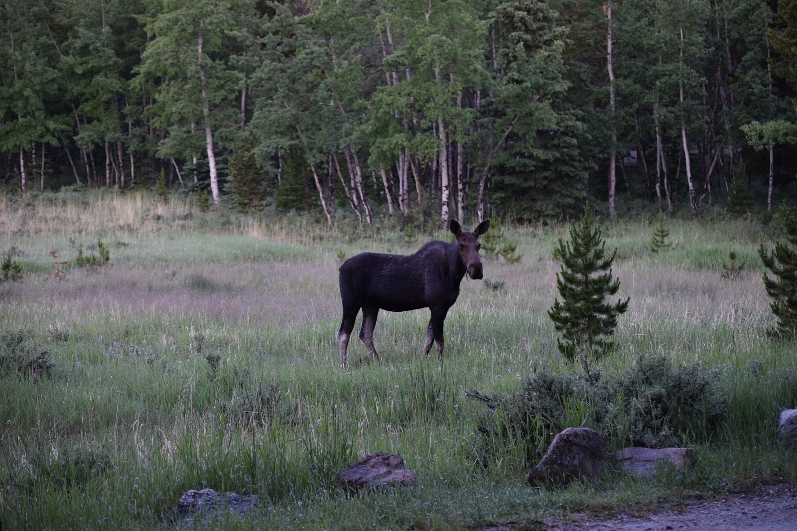 Circle Park Campground